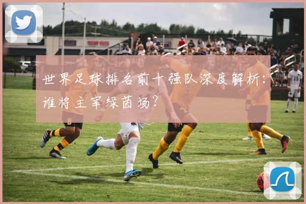 世界足球排名前十强队深度解析：谁将主宰绿茵场？